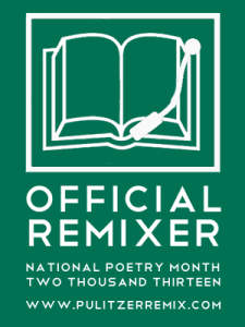 Official Remixer 2013